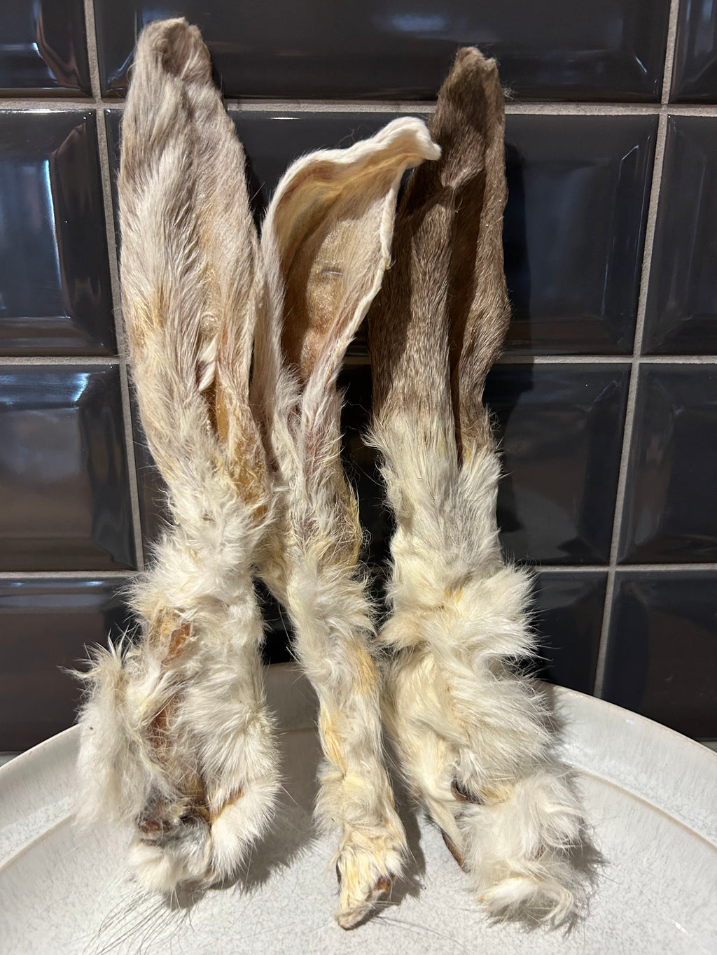 Crunchy Rabbit Ears with Fur 200g