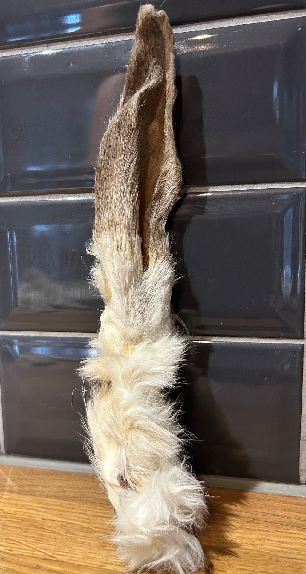 Crunchy Rabbit Ears with Fur 200g