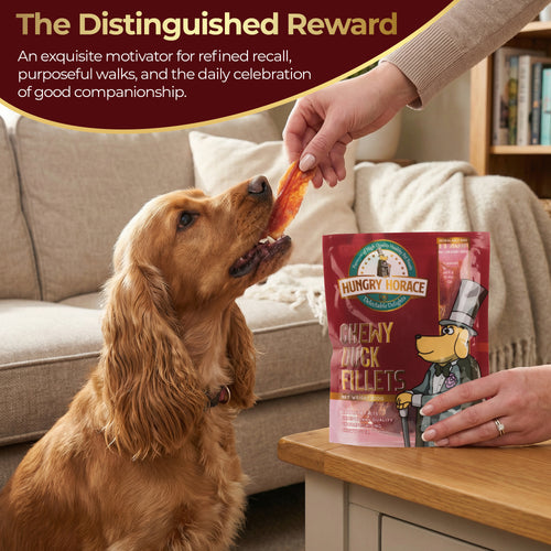 Chewy Duck Fillets 200g